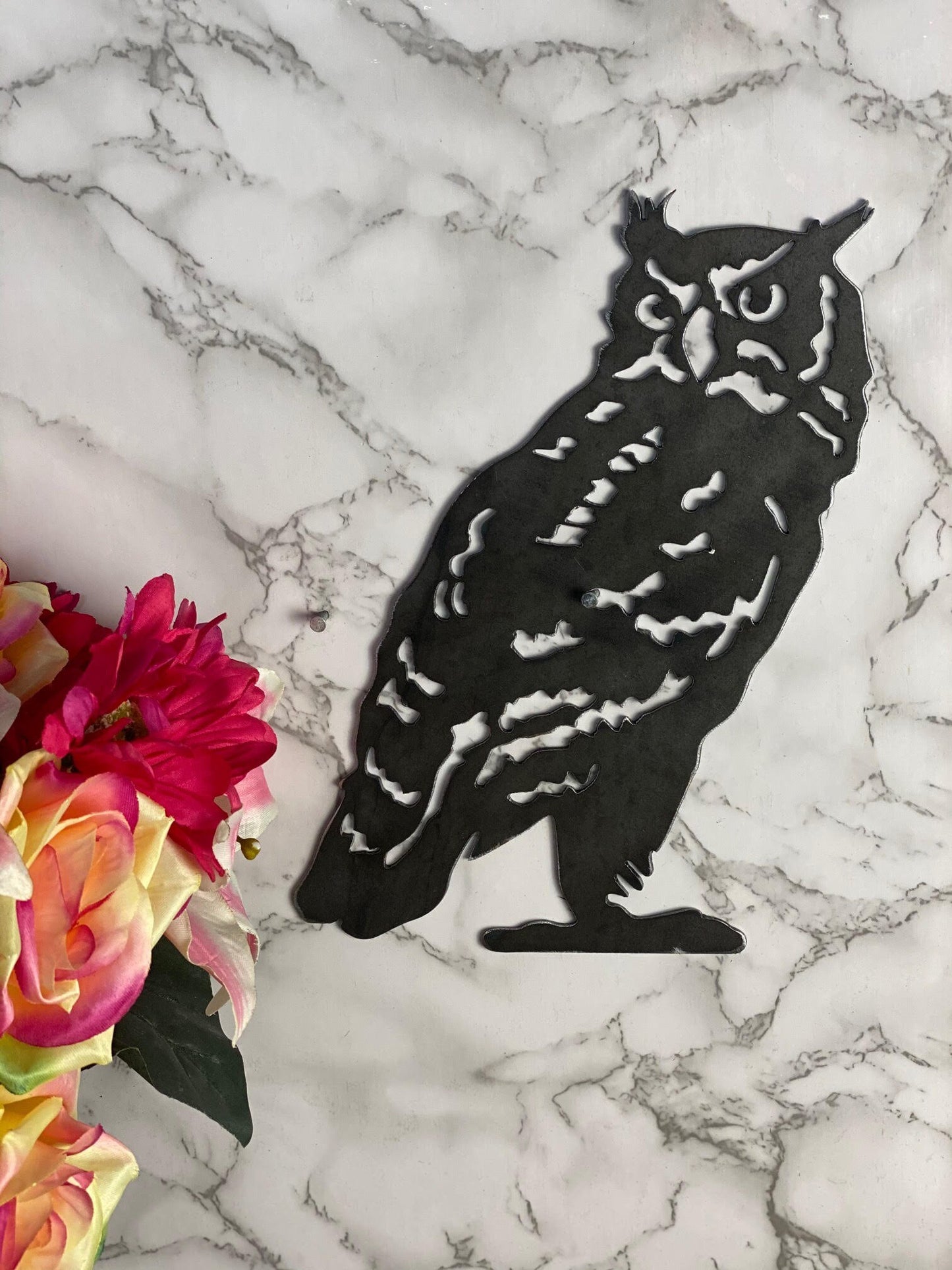 Watching Tawny Owl Barn Owl Wildlife Brushed Steel Home Wall Art Interior Desi image 1