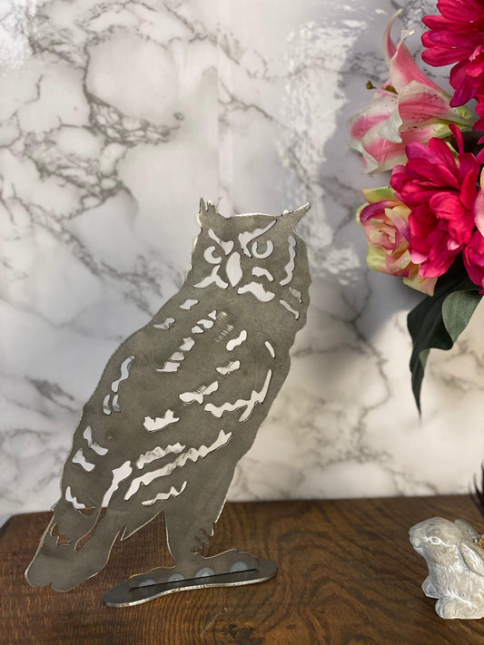 Watching Tawny Owl Barn Owl Bird Wildlife Brushed Steel Home Interior Design P image 0