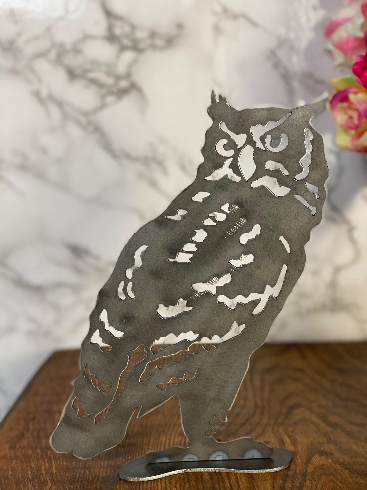 Watching Tawny Owl Barn Owl Bird Wildlife Brushed Steel Home Interior Design P image 1