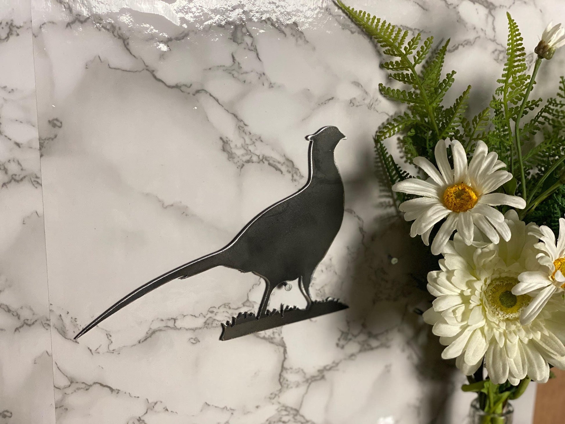 Pheasant Game Bird Game Shooting Wildlife Brushed Steel Wall Art Modern Home D image 1