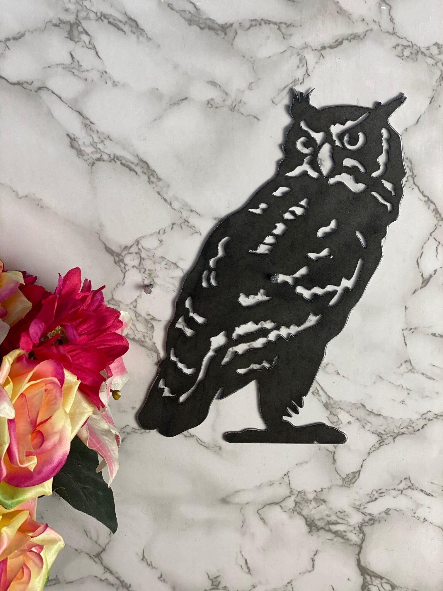 Watching Tawny Owl Barn Owl Wildlife Brushed Steel Home Wall Art Interior Desi image 1