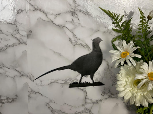 Pheasant Game Bird Game Shooting Wildlife Brushed Steel Wall Art Modern Home D image 0